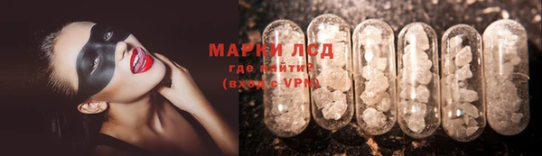прущие грибы Алзамай