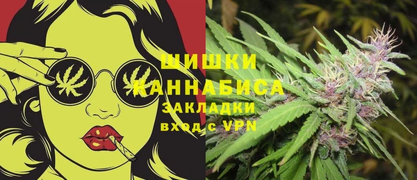 прущие грибы Алзамай