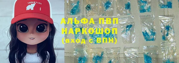 прущие грибы Алзамай