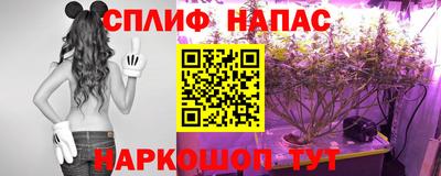 прущие грибы Краснознаменск