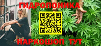 прущие грибы Краснознаменск