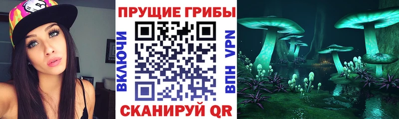 Галлюциногенные грибы Psilocybine cubensis  хочу   Кохма 