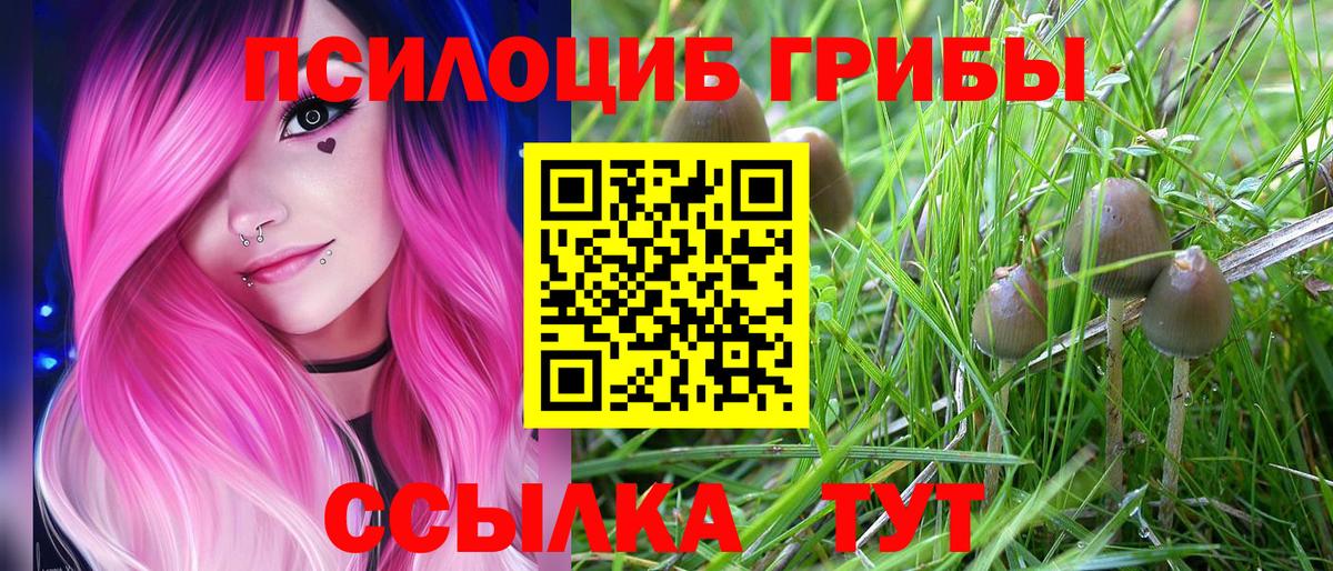 Кохма  купить наркотики сайты  Вход с VPN  Псилоцибиновые грибы Cubensis 