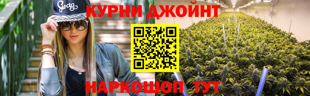 Бошки Шишки план  Вход с VPN  Кохма  МАРИХУАНА THC 21%  Бошки Шишки ГИДРОПОН 
